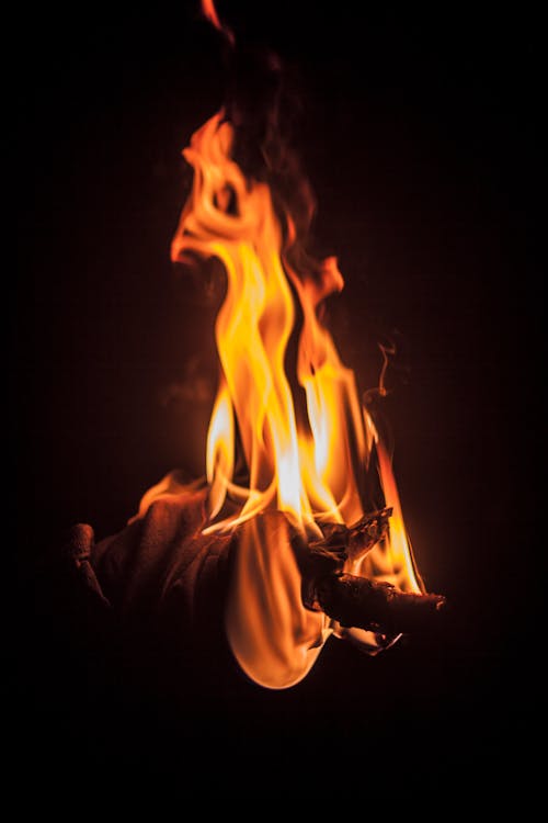 бесплатная Обгоревшие деревянные ветви Стоковое фото
