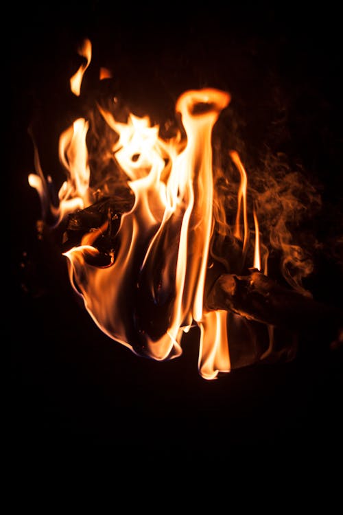 Close-up Photography Of Bonfire