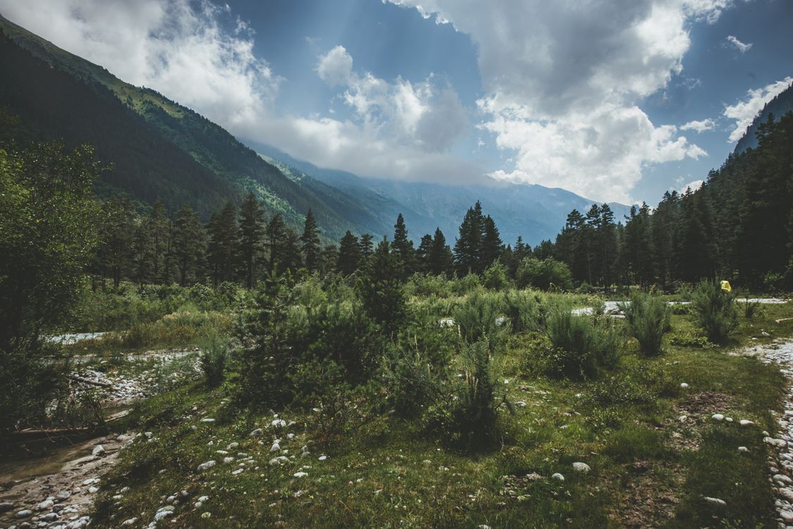 Green Trees and Mountains Under Blue Sky and White Clouds · Free Stock ...