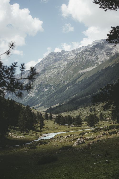 Free Beautiful mountain landscape with a stream flowing through a lush green valley. Stock Photo