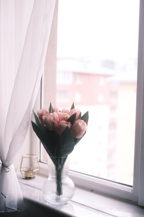 Bouquet of Flowers on a Window Sill 
