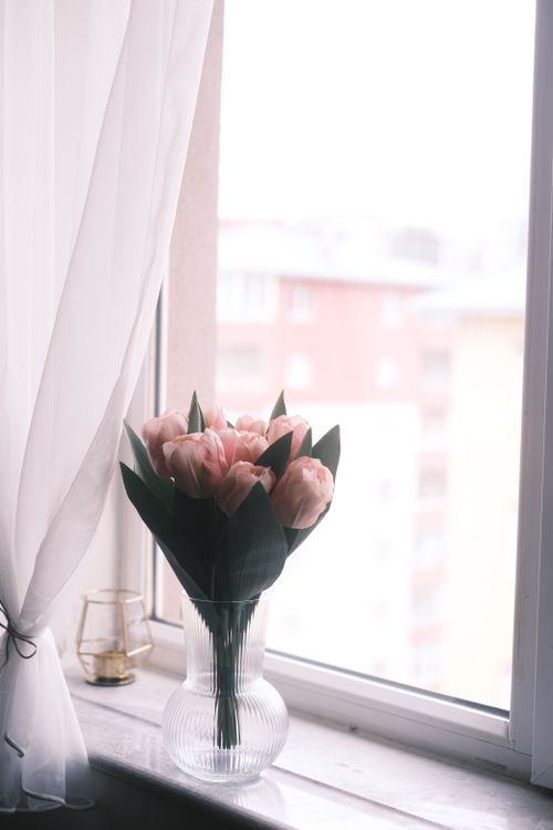 Free A beautiful bouquet of tulips in a glass vase beside a window with curtains. Stock Photo