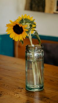 Close-up of bright sunflower arrangement in a clear glass vase on a rustic wooden table, indoors.