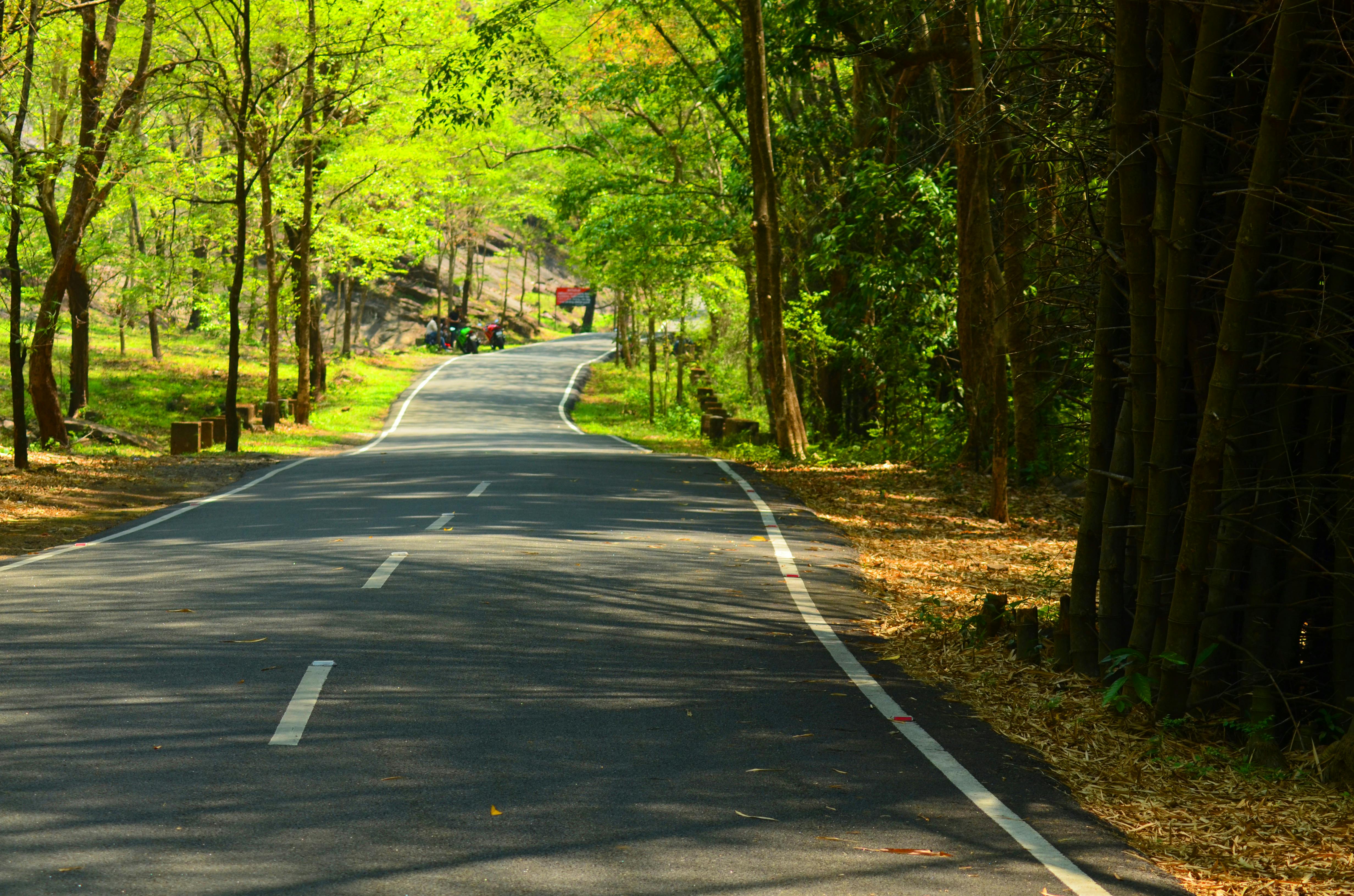 Free Stock Photo Of Kerala Natural Beauty