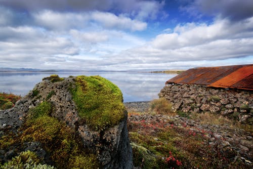 Rocks Covered in Moss on a Lake Shore 