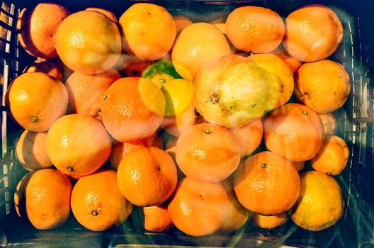 A colorful display of fresh oranges in a crate, perfect for citrus lovers.