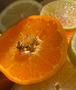 A dazzling opal ring adorns a juicy citrus slice, capturing the vibrant essence of freshness.