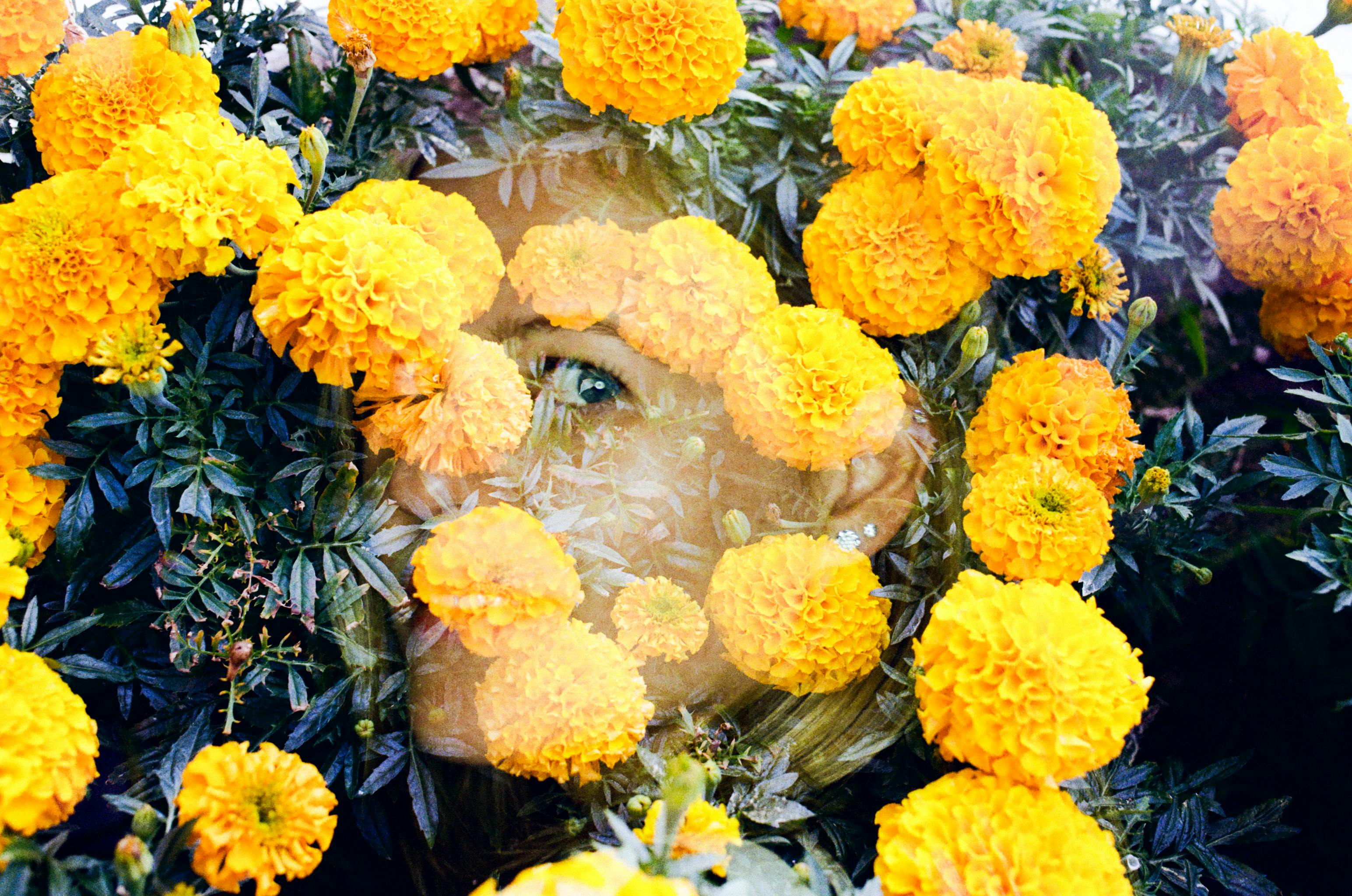 Artistic double exposure of a woman's face blending with bright marigolds, creating a vibrant floral portrait.