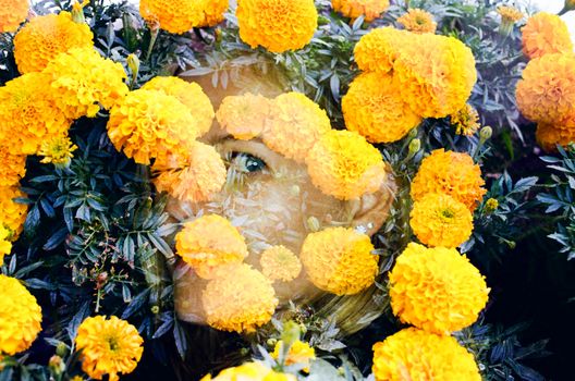 Double Exposure of a Woman and Tagetes Flowers