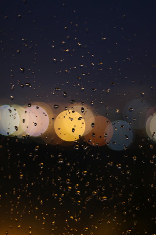 Foto d'estoc gratuïta de bokeh, després de la pluja, got