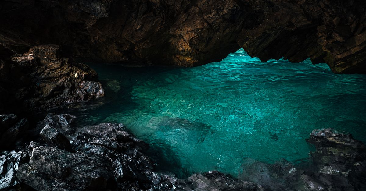 The Ocean's Hidden Secret: Scientists Discover a New Form of Life Deep in the Mariana Trench