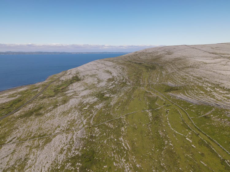 Green Land Near Sea