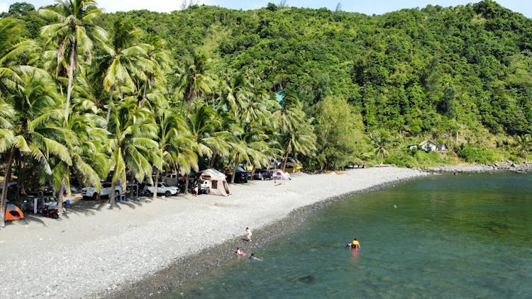 People Swimming At The Beach 