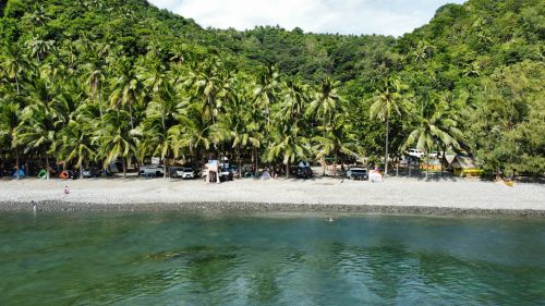 Free A serene beach lined with palm trees, tents, and clear water. Stock Photo
