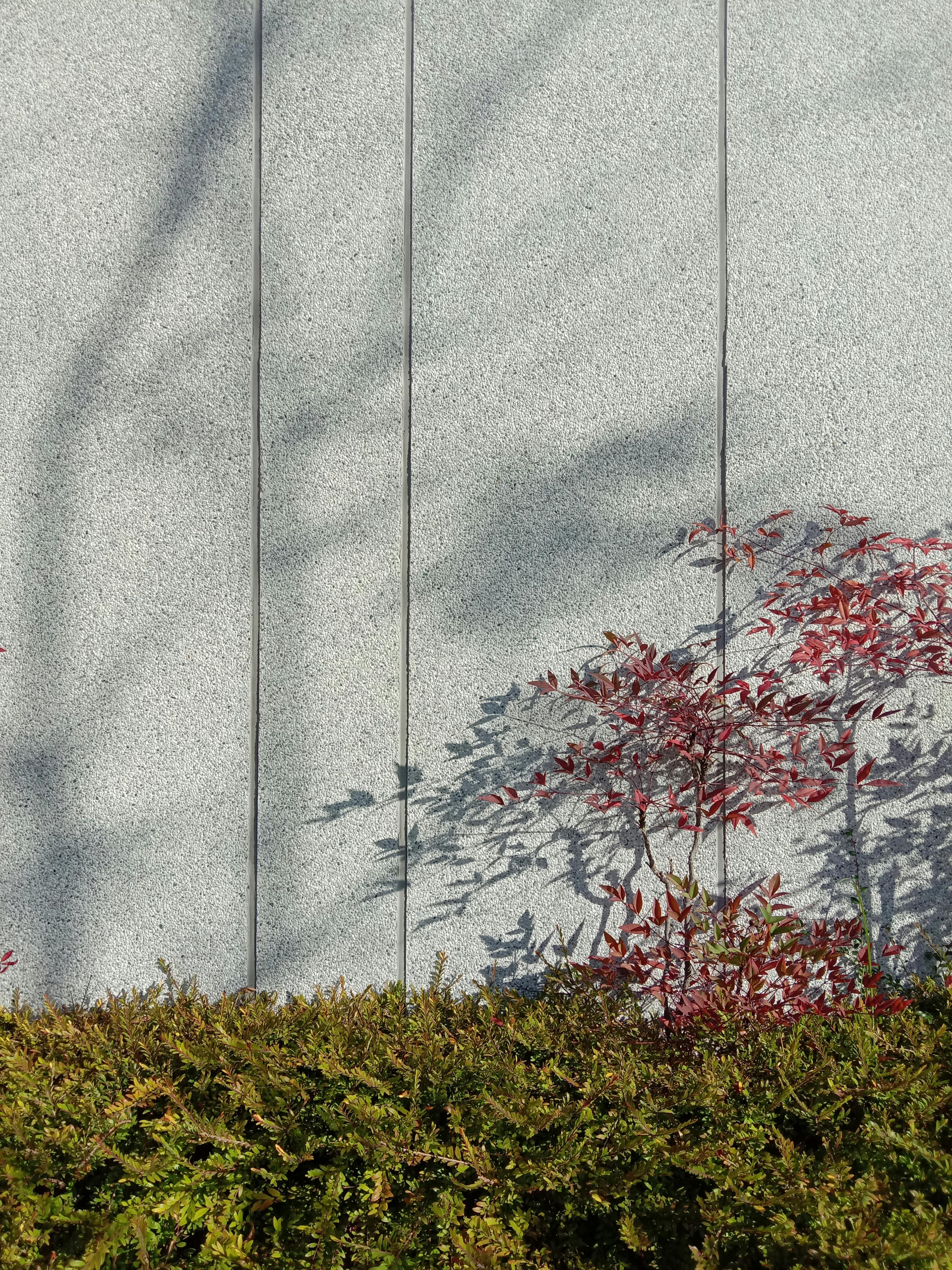 grátis Foto profissional grátis de abstrair, abstrato, ao ar livre Foto profissional