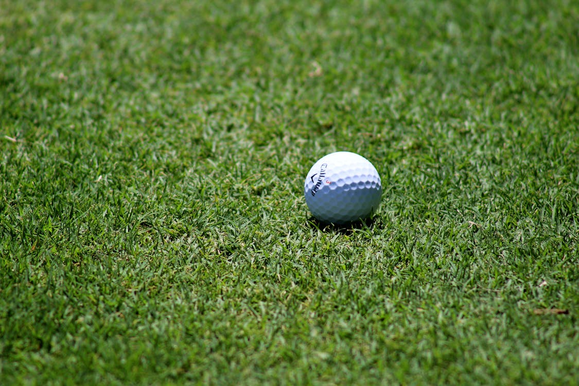 Ingyenes stockfotó fű, golf, Golflabda témában Stockfotó