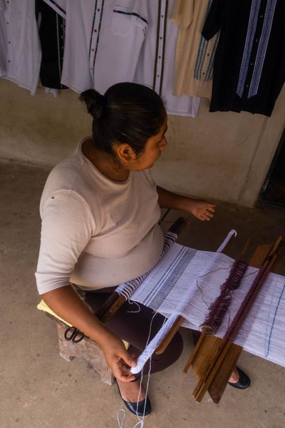 Handloom cotton