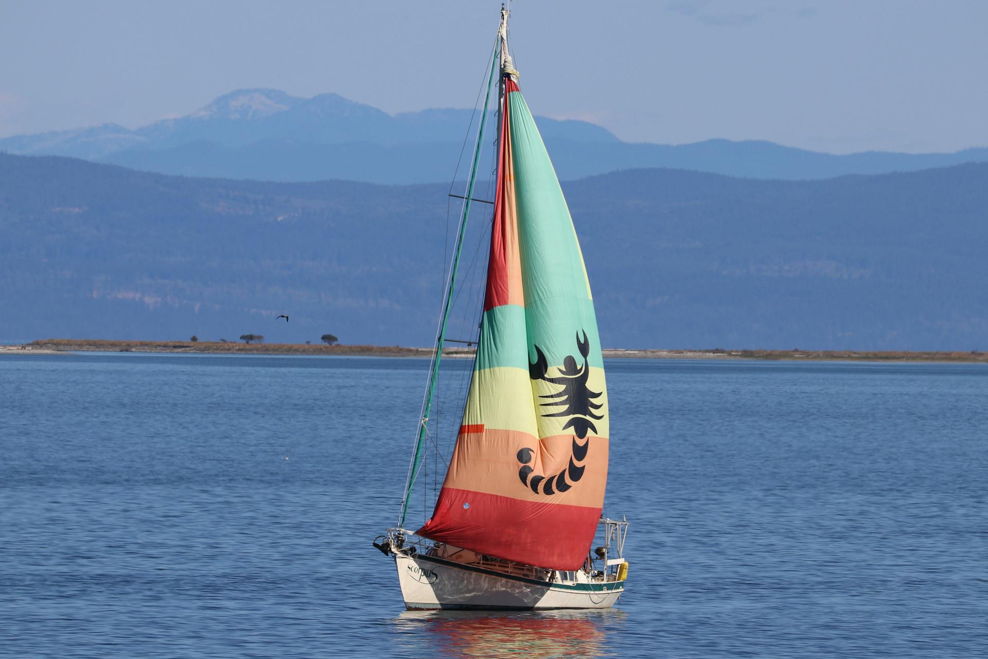 Colorful sailboat with scorpion design under a blue sky, sailing on peaceful waters.