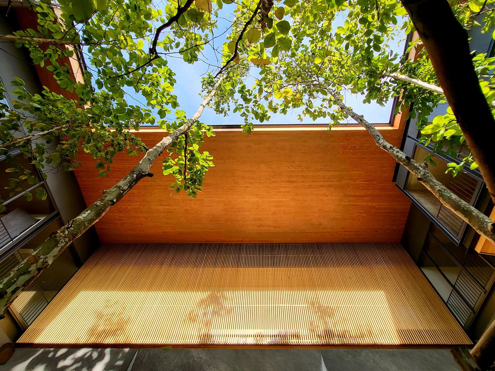 A leafy courtyard framed by timber and concrete, suggesting the kind of communal outdoor room Burke imagines