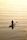 paddleboard