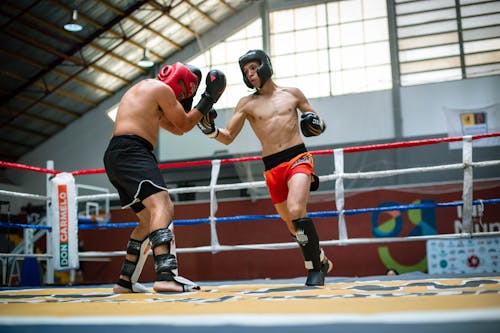 Kostnadsfri bild av boxning, hjälmar, idrottsmän