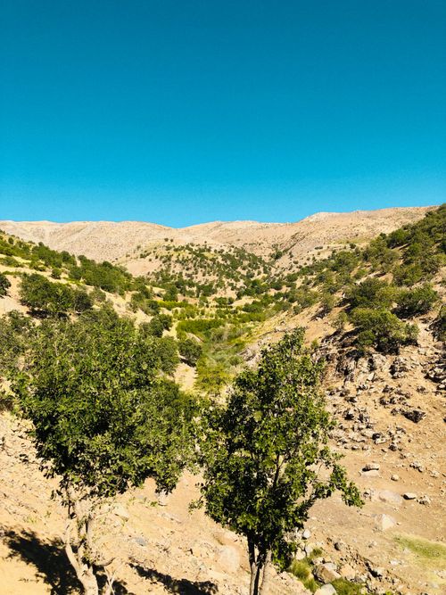 Free Explore the stunning natural landscapes of Qaladiza in the Sulaymaniyah Governorate, Iraq. Stock Photo
