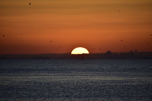 A Sun Setting Over the Sea