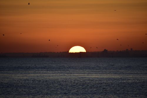 Free Serene sunset over the water in İstanbul, capturing peaceful twilight views of the horizon. Stock Photo