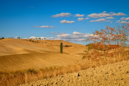 Kostenloses Stock Foto zu agrarland, außerorts, blauer himmel