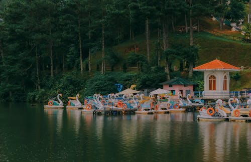 Základová fotografie zdarma na téma čluny, dok, jezero