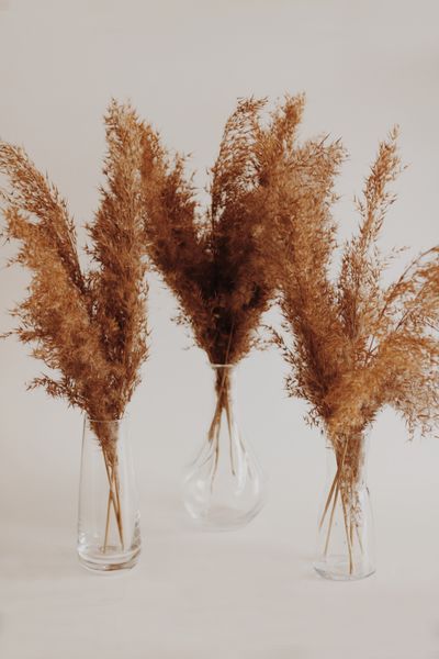 Clear recycled glass vase with dried grasses — photo by Eda Güney on Pexels