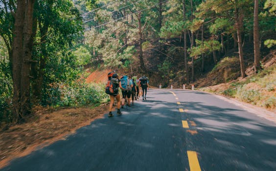 Gruppo Di Persone Che Camminano Lungo La Strada