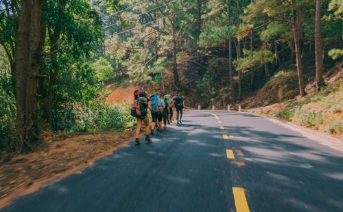 Free A group of hikers exploring a scenic forest road on a sunny day, surrounded by lush greenery. Stock Photo