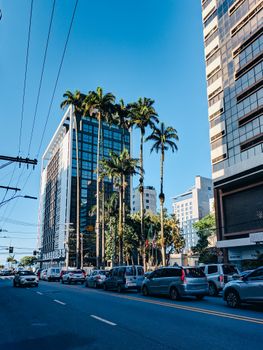 Photo by Claiton Conto Cityscape featuring modern glass buildings, palm trees, and traffic under a blue sky.