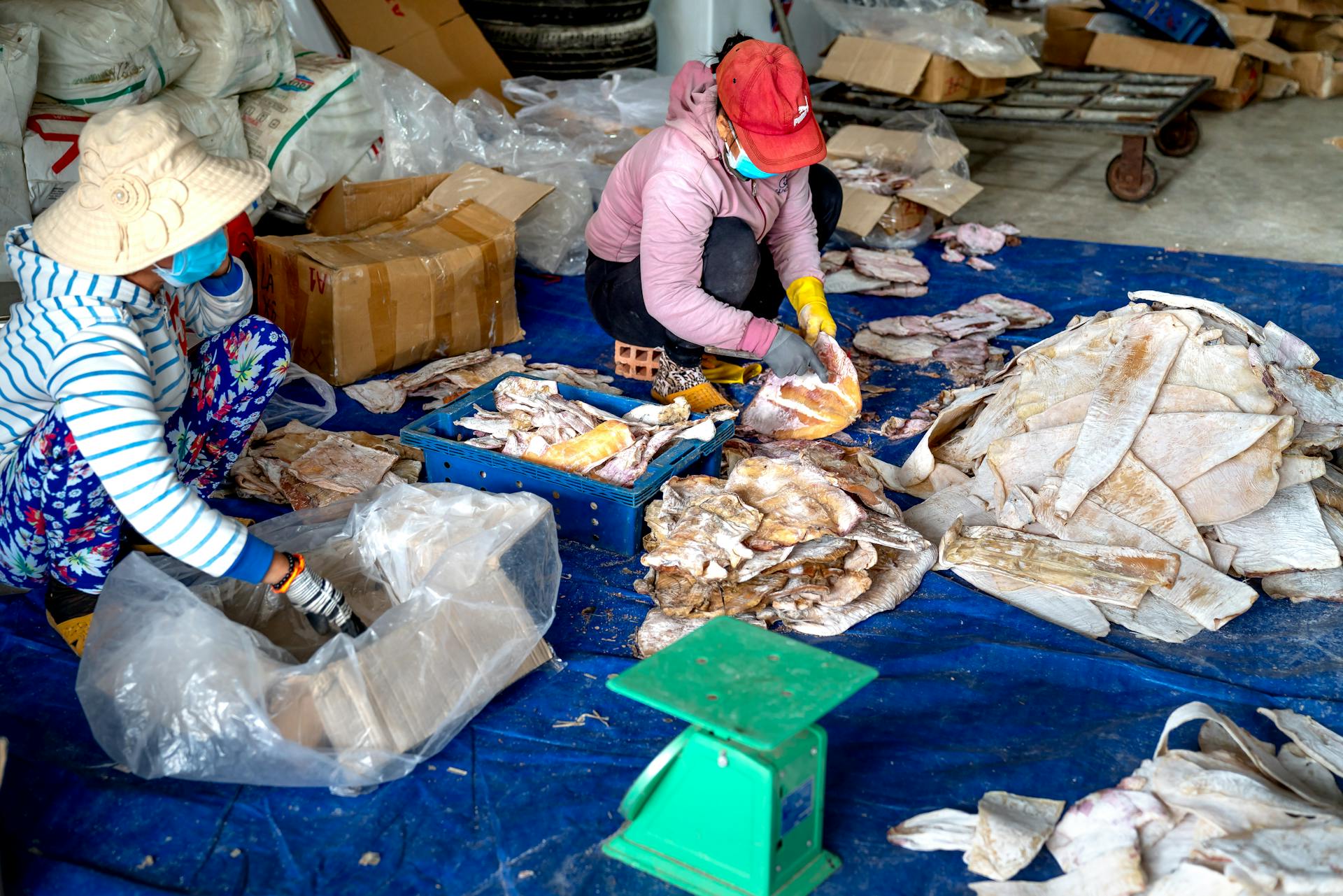 Two women sorting and processing seafood indoors, surrounded by fish and packaging materials.