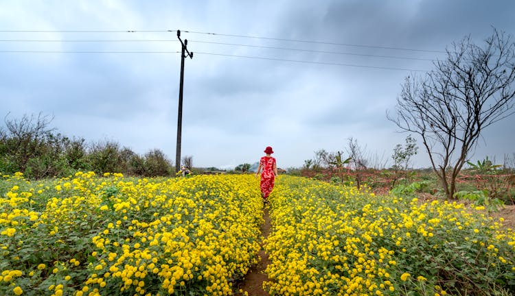 Back View Of A Woman In Red Dress Walking In A Garden