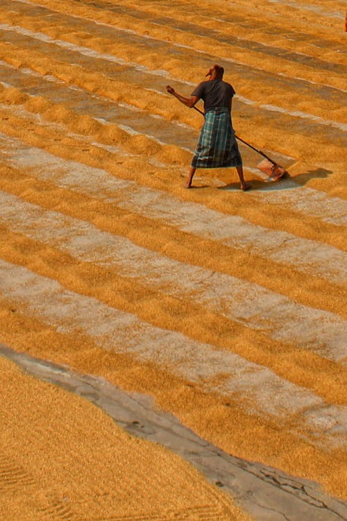 A Person Plowing Grains on a Concrete Floor