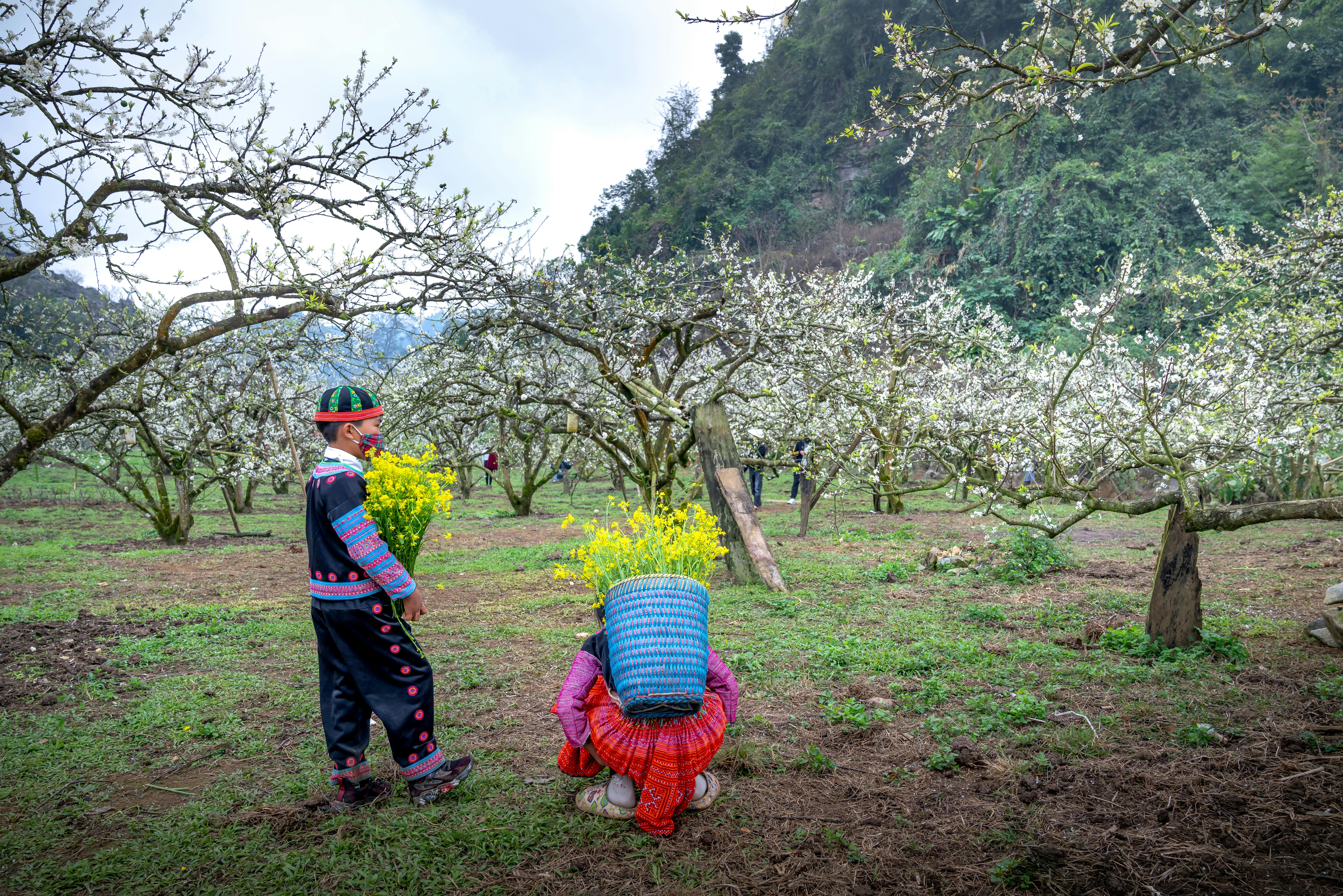 Environmental Conservation and Folklore: Preserving Traditions and Nature