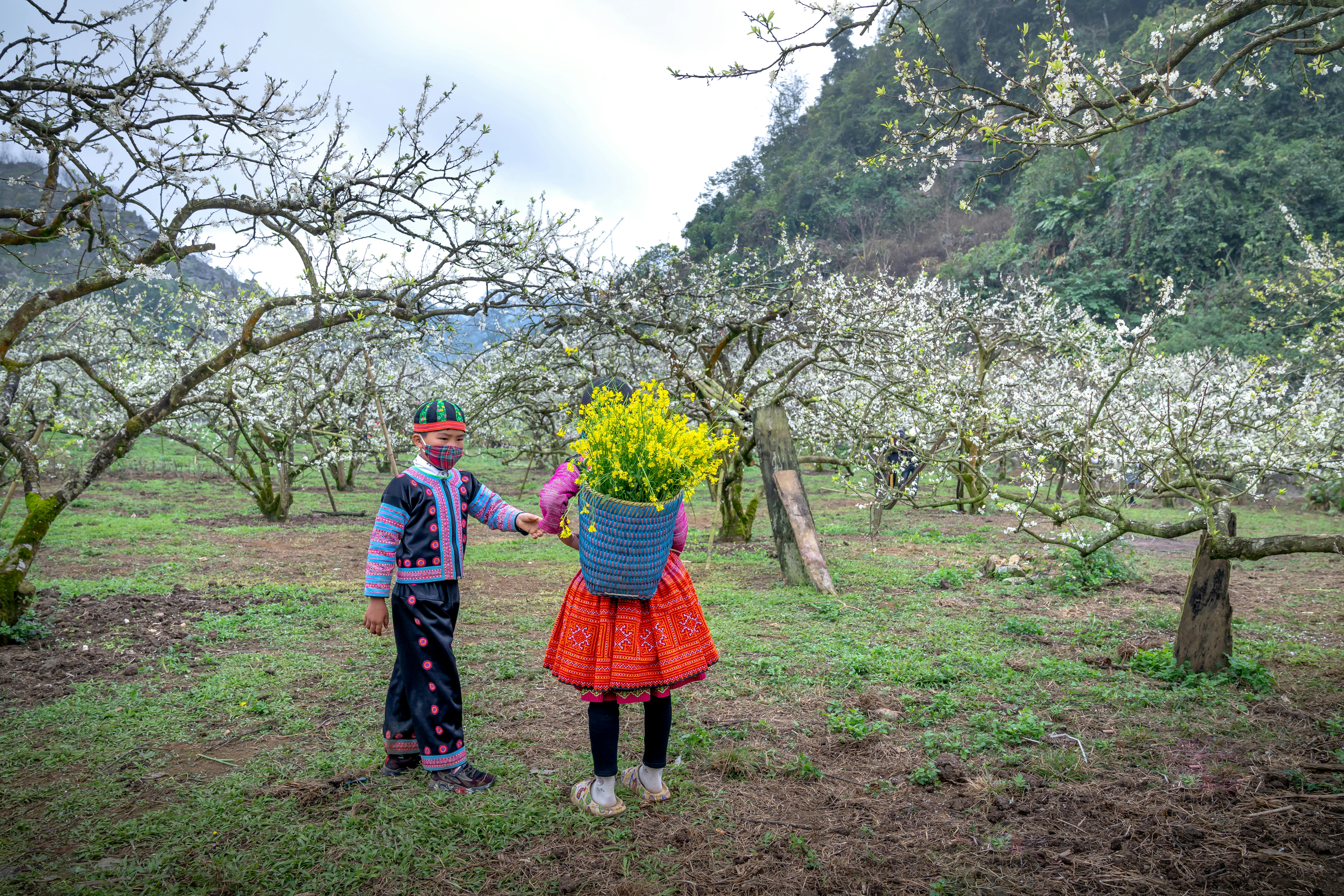 Crianças em trajes vibrantes colhendo flores em um pomar rural, abraçando a natureza.