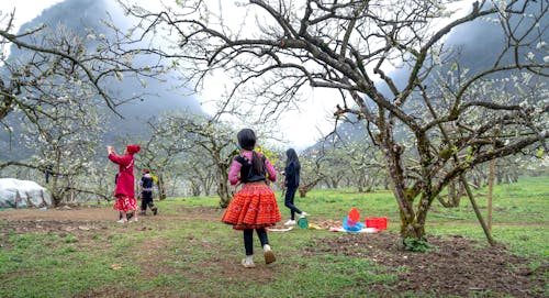 Immagine gratuita di alberi, attrazione turistica, azienda agricola