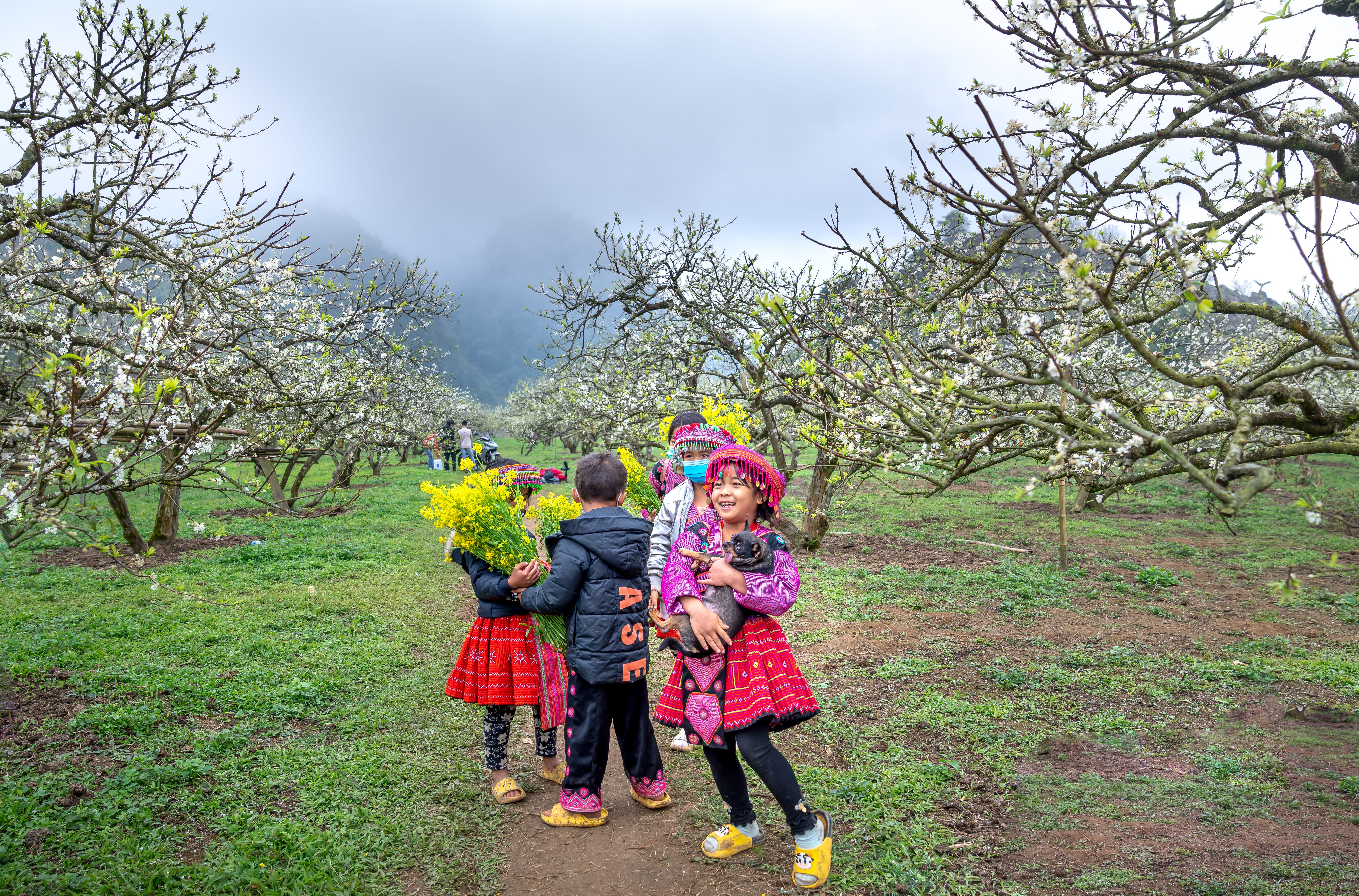 Kids in colorful attire playing in a blossoming orchard, enjoying nature's beauty.