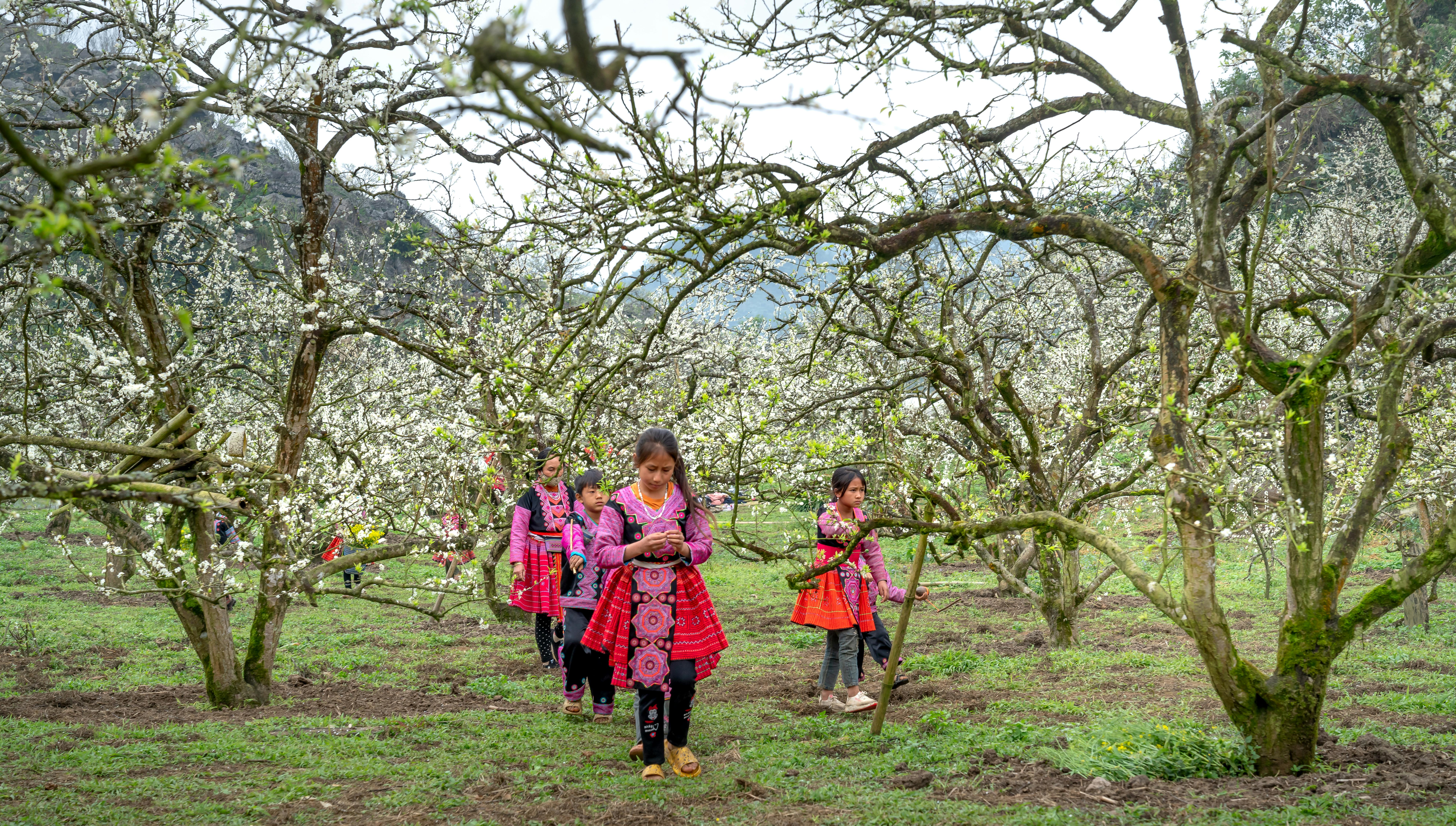 Miễn phí Ảnh lưu trữ miễn phí về bình yên, bối cảnh núi, bọn trẻ Ảnh lưu trữ