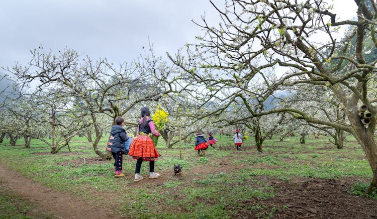 Children Running On A Farm