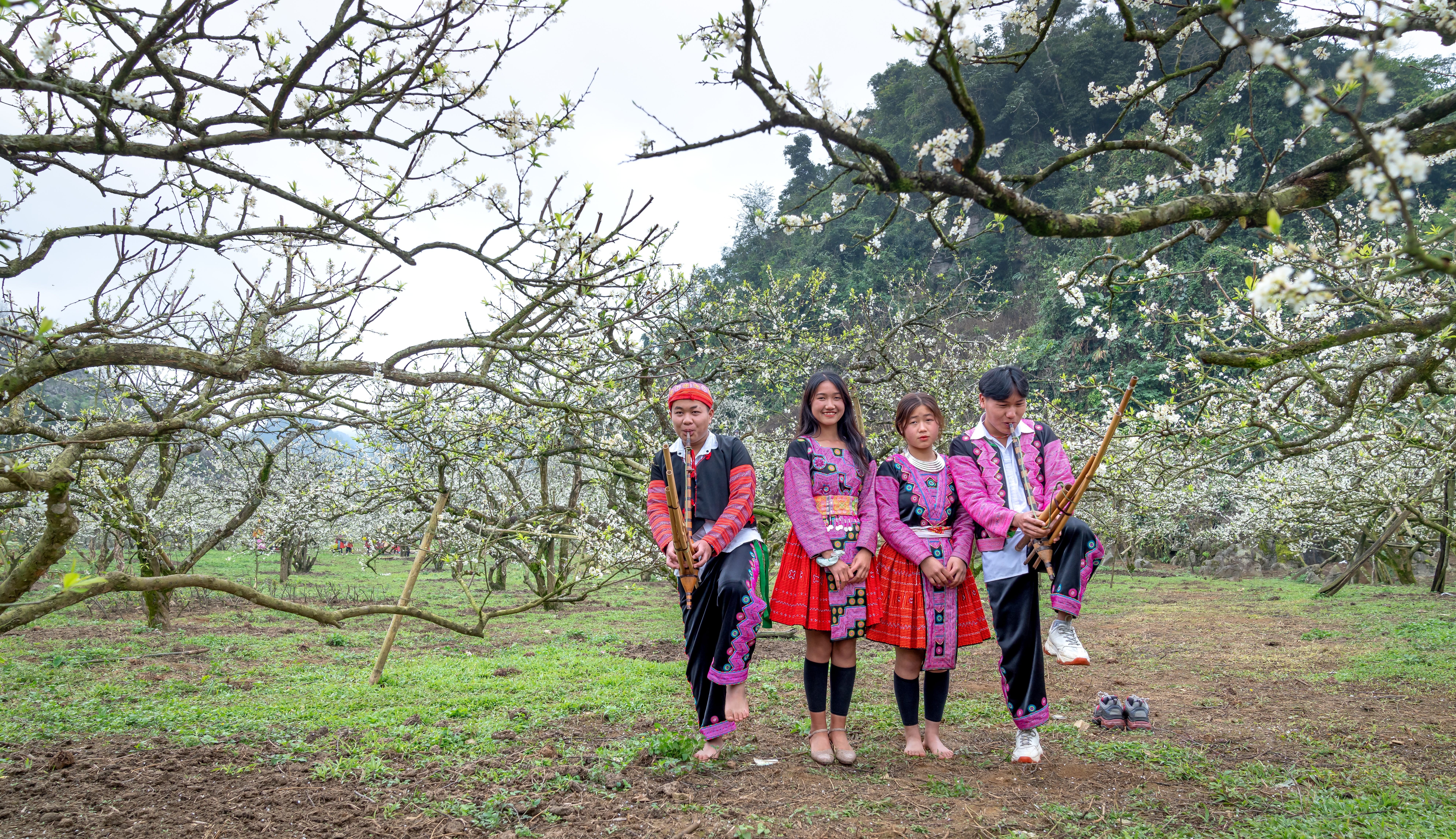 Group of musicians in traditional attire playing instruments in a blooming orchard.
