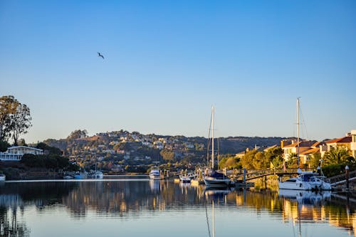 Yachts Docked on Waterfront Houses