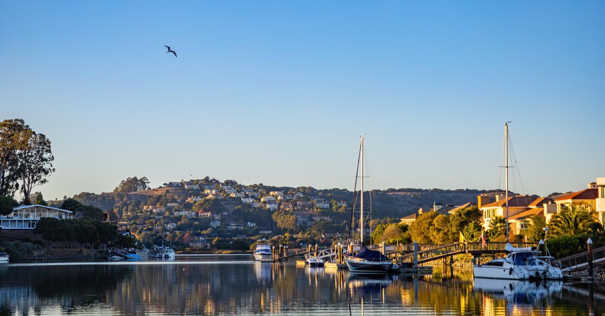 Picturesque view of yachts docked by waterfront houses under a clear blue sky.