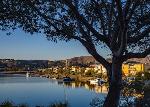 Free Boats Floating on the Lake During Golden Hour  Stock Photo