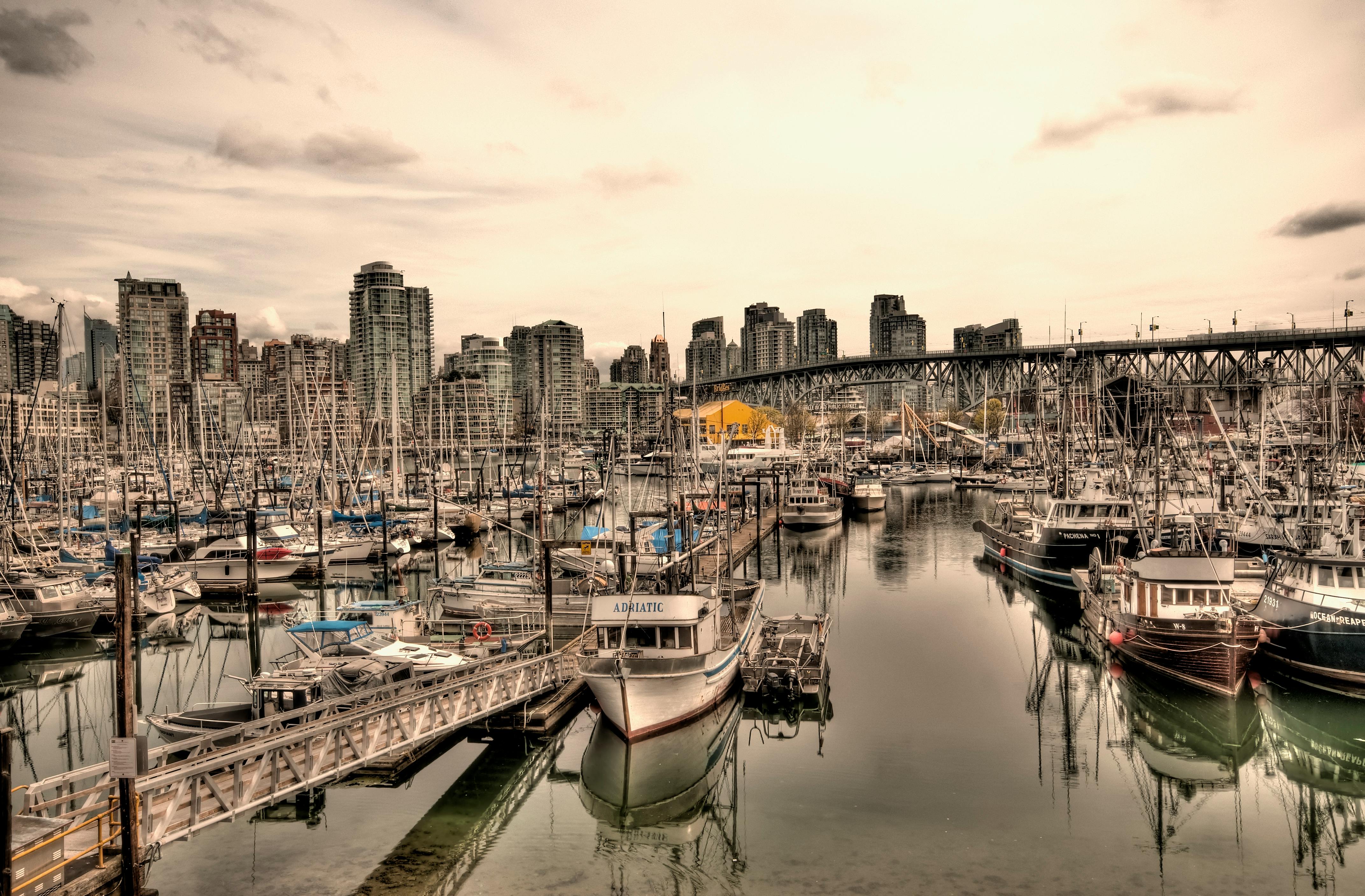 Yachts on Dock · Free Stock Photo