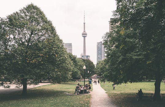 Toronto, Canada photo 7