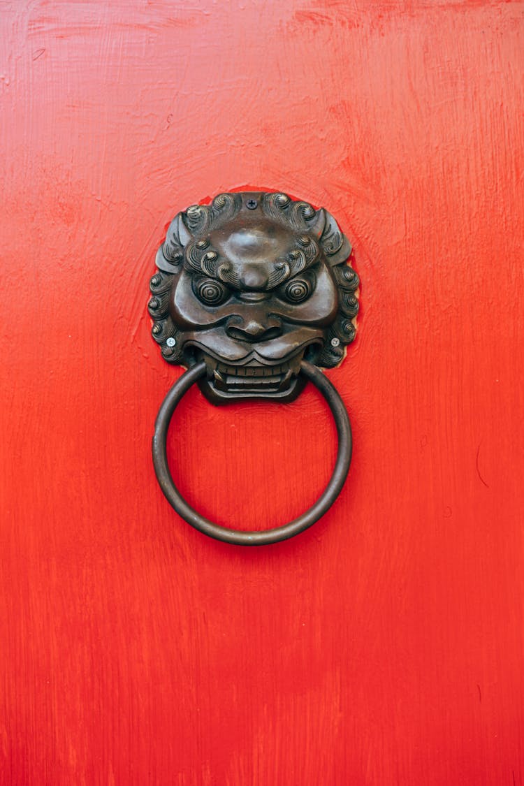 Brass Lion Handle On Red Background